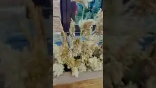 Винная дегустация с сомелье