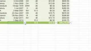 Learn Excel: Data Table Total Row