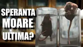 Speranta MOARE Ultima?