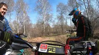 с леса выскочили на дорогу!