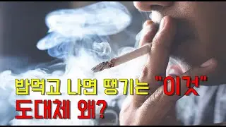 밥먹고 나면 담배가 피우고 싶은 과학적인 이유(소화불량)