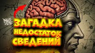 МОЗГОВОЙ ШТУРМ🔥ЗАГАДКИ и ГОЛОВОЛОМКИ #shorts