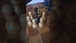 Стоп Шахматной Войны СШВ