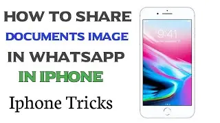 iPhone Tips and Tricks: How to Share Images as Documents with Others