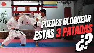 🔥 Cómo bloquear: Mae-Mawashi-Yoko