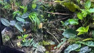 Maintaining ecosystems & updates on what’s next 🌱