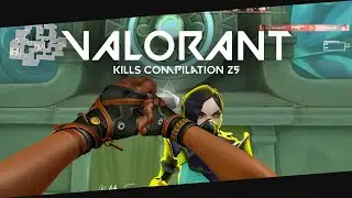 Valorant Compilation #25