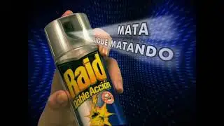 RAID DETECTIVE
