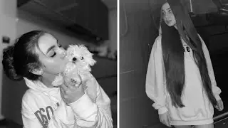 Леди Диана купила новую собаку/ Tik Tok