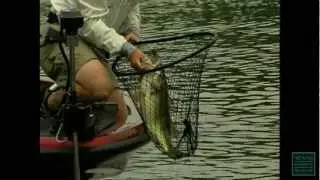 Texas Bass Fishing