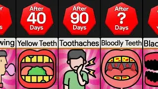 Timeline: If You Never Stopped Chewing Gum