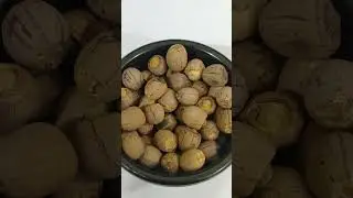 Kamal Seed Magaj Papdi Magaj Kamal Seed Magaj Kamal Gatta Magaj Kamal Kakadi Magaj