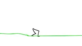 first animate cc video