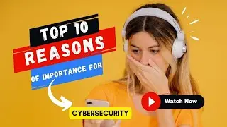 Importance of Cybersecurity in 2022 || Cybersecurity on various grounds in 2022