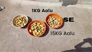 1किलो आलू से 15 किलो आलू  I Think you Should Watch this