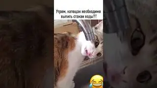 Доброе утро! #доброеутро