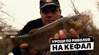 Уроци по РИБОЛОВ на КЕФАЛ - 1 част / Реката на трофейните кефали