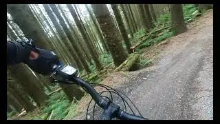 Sifidryn - Nant Yr Arian