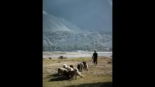 مزمور 8: عظمة الله وكرامة الإنسان