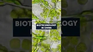 Biotechnology in China | China's Tech Revolution | Pro robots