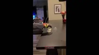 Ninja warming up baby milk with feet