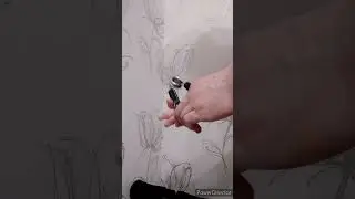 СИЛА ХВАТА- STARFIT 65 #рекомендации #топ #силахвата #grippers #эспандеры