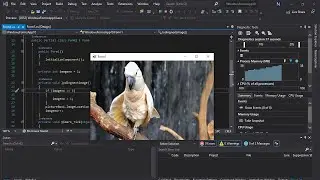 How to create image slider in visual studio windows form application 2019