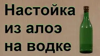 Настойка алоэ на водке в домашних условиях.