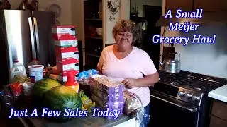 A Small Meijer Grocery Haul  Just A few Sales Today