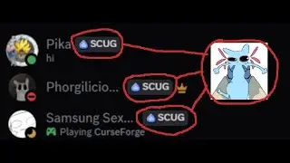 How To Set And Change Your Tag On Discord