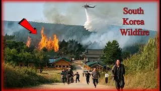South Korea Wildfire Crisis Unveiled: 4 Dead, Thousands Flee - You Won’t Believe the Devastation!