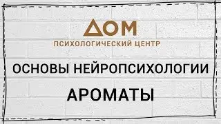 Основы нейропсихологии / Шишкова Светлана Юлиановна