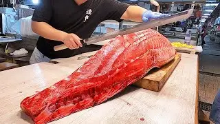 Extreme Tuna Sashimi | 900 Pounds Giant Bluefin Tuna Cutting