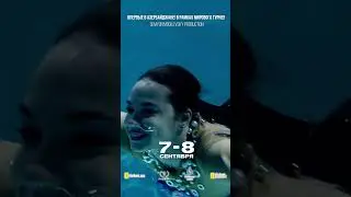 Dəniz quldurları macəra axtarışında şousu