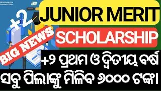 Junior Merit Scholarship 2023 | State scholarship 2023 | Scholarship
