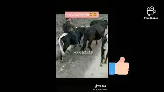 Qishloqdagi yoshlikdagi davrlar