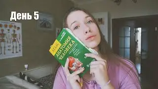 Неделя студента-медика #5 | Подготовка к экзамену по анатомии