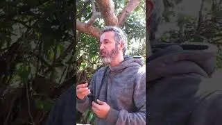 Ative a Kundaline #agapeakhenaton #reflexão #ressonanciaharmônica
