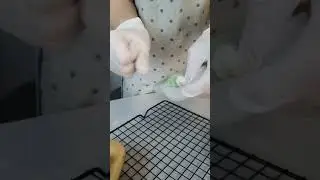Шоколадная капуста с начинкой из молда КАПУСТА на 7шт. Бренд МАРФА МОЛД. 