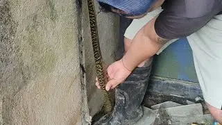 Cobra Prince dumayo sa B-site Banza Butuan City para e rescue sa kapahamakan ang mga residente😅