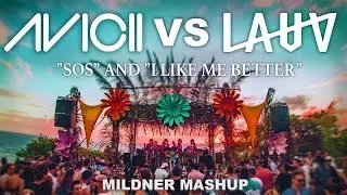 AVICII vs LAUV (Mildner Mashup)