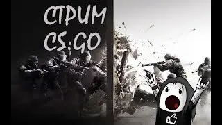 СТРИМ CS:GO | Повышаем ранг до глобала в КС ГО!