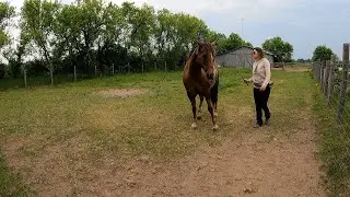 Aries liberty fail