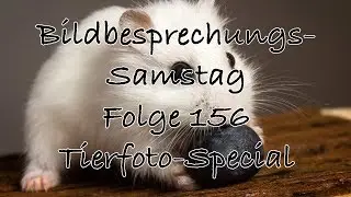 Bildbesprechung 156 - Tierfotospecial