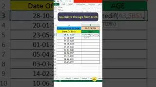 Calculate Age from Date of Birth in Microsoft Excel – Quick and Easy!  