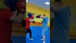 барс мма  тренировки мма