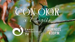 Vive la magia de Con Olor a Región en el Canal Institucional