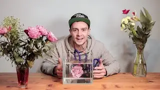 3 Creative Ideas to photograph Flowers & Water