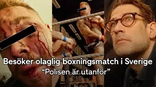 Bare knuckle fighting - slåss blodiga utan handskar | Niklas och verkligheten | TV4