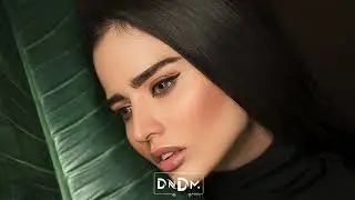 DNDM - Chemicals